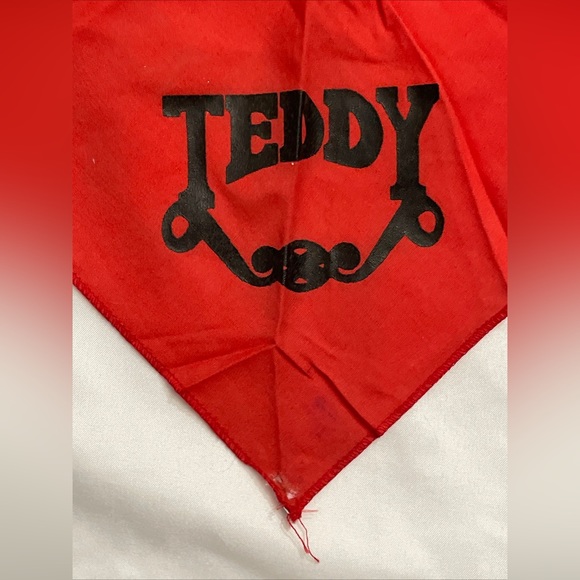 Alabama 1985 Tour Handkerchief by Wild Country Vintage see pics & desc - Picture 7 of 11